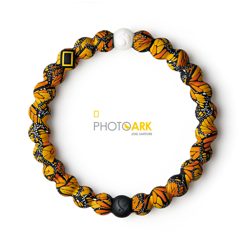 Monarch Butterfly Lokai