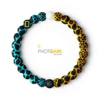 Lokai - Poison Frog Lokai