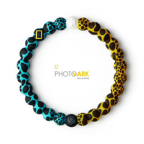 Poison Frog Lokai