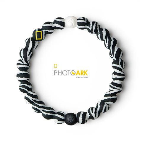 Zebra Lokai