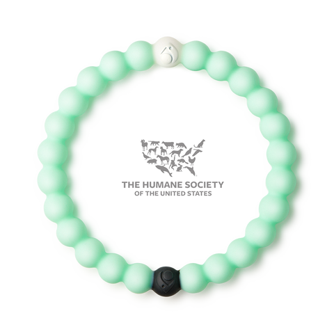 Animal Rescue Lokai