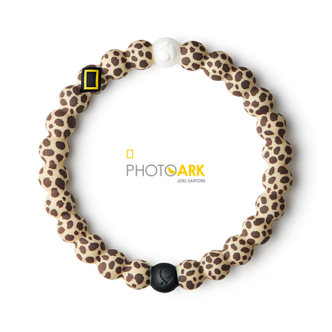 African Cheetah Lokai