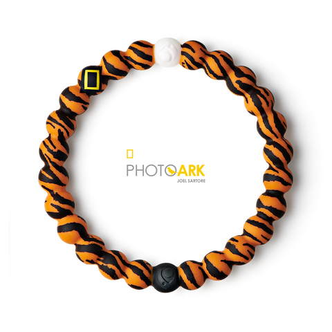 Bengal Tiger Lokai